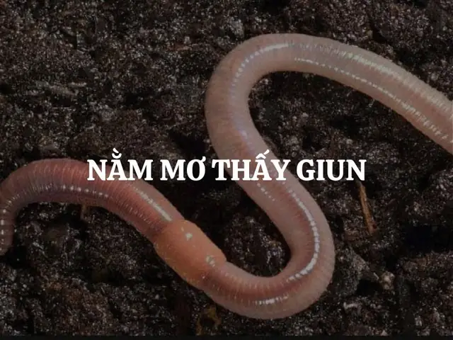Nằm Mơ Thấy Giun: Giải Mã Những Điềm Báo Tâm Linh Từ Giấc Mơ