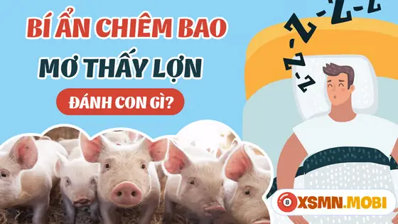 Giấc Mơ Thấy Con Lợn Đem Lại Điềm Báo Gì Khác?