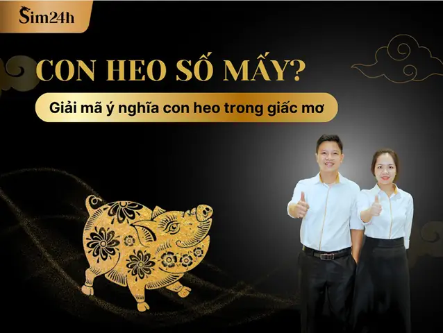 Con Heo Số Mấy? 50+ Con Số Gắn Với Giấc Mơ & Hiện Tượng Thực Tế