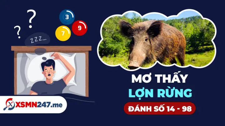 Giải Mã Giấc Mơ Thấy Lợn Rừng - Mơ Thấy Heo Rừng Là Điềm Gì?