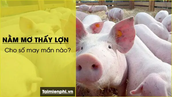 Mơ Thấy Lợn Quay Cho Số May Mắn Nào?