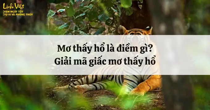 Mơ Thấy Hổ Là Điềm Gì? Giải Mã Giấc Mơ Thấy Hổ Mơ Thấy Hổ Là Điềm Gì? Giải Mã Giấc Mơ Thấy Hổ