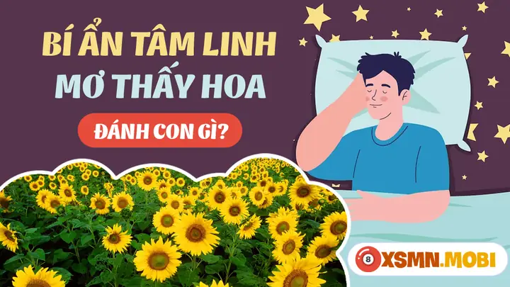 Mơ Thấy Hoa Đánh Con Gì? - Giải Mã Chiêm Bao Thấy Hoa