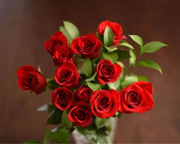 Mơ Thấy Hoa Hồng Đánh Con Gì?