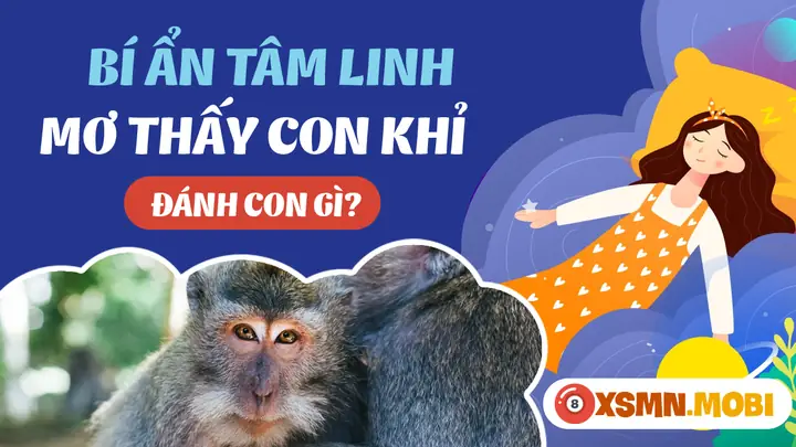 Mơ Thấy Khỉ Đánh Con Gì? - Giải Mã Chiêm Bao Thấy Con Khỉ