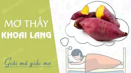 Nằm Mơ Thấy Khoai Lang