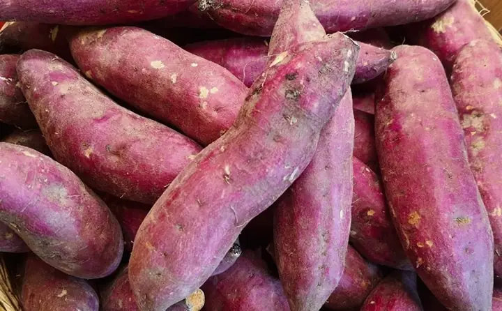 Mơ Thấy Khoai Lang Đánh Con Gì?