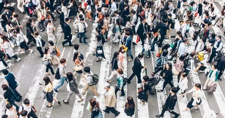 Mơ Thấy Đông Người, Nhiều Người Báo Điềm Gì? Con Số May Mắn ...