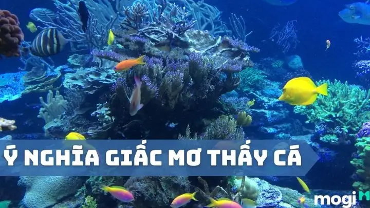 Giải Mã Giấc Mơ Thấy Cá: Ý Nghĩa Điềm Báo Và Con Số May Mắn Giải Mã Giấc Mơ Thấy Cá: Ý Nghĩa Điềm Báo Và Con Số May Mắn