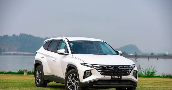 Mơ Thấy Mất Xe Là Điềm Báo Tốt Hay Xấu? Con Số May Mắn Liên Quan