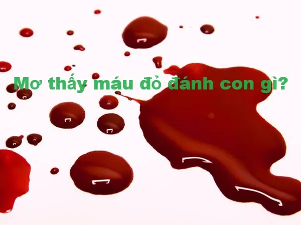 Nằm Mơ Thấy Máu Đỏ Nên Đánh Số Nào?