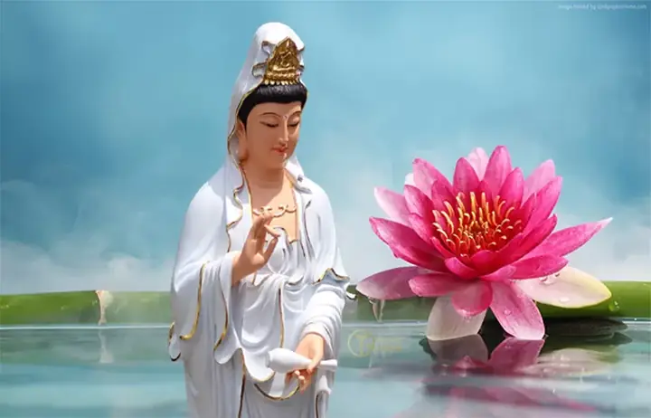 Nằm Mơ Thấy Mẹ Quan Âm Đánh Số May: Ý Nghĩa & Con Số Liên Quan