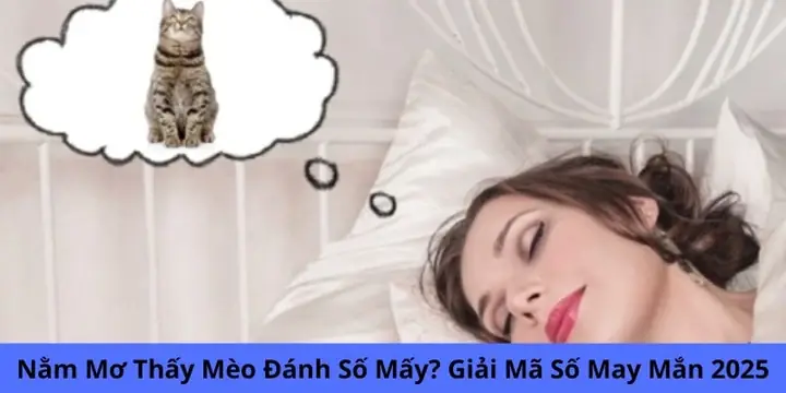 Nằm Mơ Thấy Mèo Đánh Số Mấy Gọi Mời Vận Hên