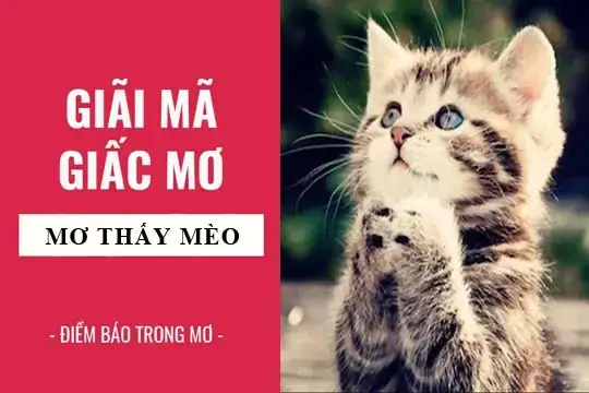 Nhu Cầu Được Bảo Vệ Và An Toàn Nhu Cầu Được Bảo Vệ Và An Toàn