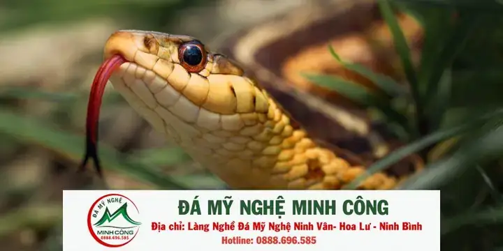 Mơ Thấy Bán Hàng Ở Nước Ngoài
