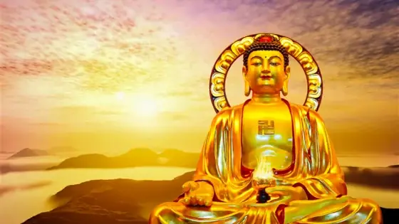 Niệm Phật Thoát Chết Vì Điện Giật