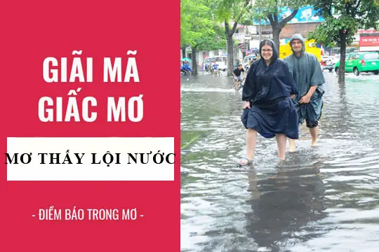 Giải Mã Giấc Mơ: Nằm Mơ Thấy Lội Nước, Bơi Dưới Nước Điềm Báo Gì ...