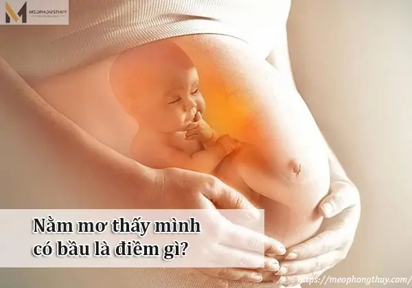 Nằm Mơ Thấy Mình Có Bầu Là Điềm Gì? Giải Mã Giấc Mơ Từ Góc Độ Khoa Học Và Tâm Lý Học