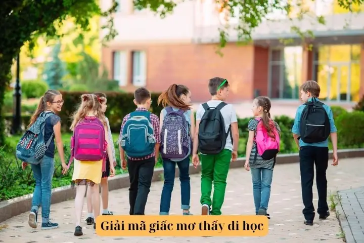 Nằm Mơ Thấy Đi Học Là Điềm Gì? Hé Lộ Ý Nghĩa Đằng Sau Giấc Mộng