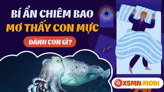 - Mơ Thấy Mực Và Bạch Tuộc