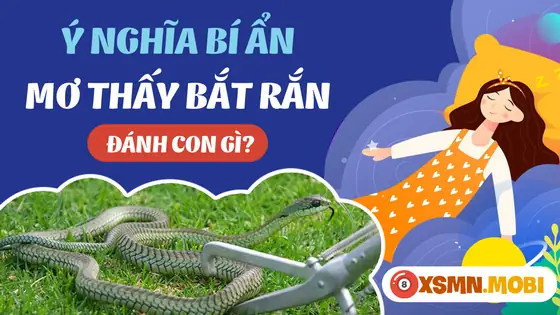Một Số Giấc Chiêm Bao Thấy Bắt Rắn Khác