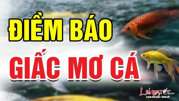 Nằm Mơ Thấy Người Khác Câu Được Cá To: Giải Mã Điềm Báo May Mắn Và Cơ Hội