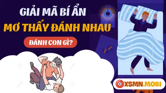 Giải Mã Một Số Giấc Chiêm Bao Thấy Đánh Nhau Khác