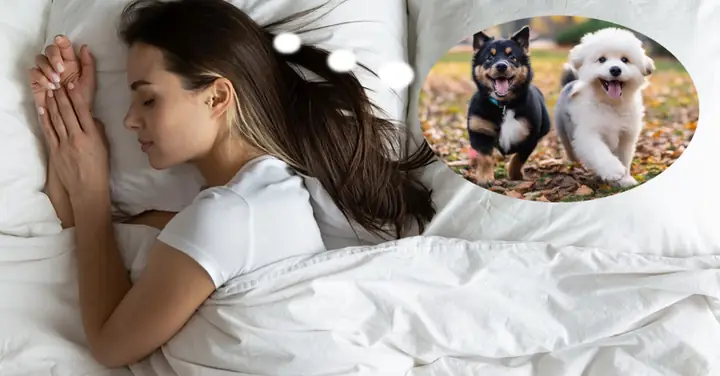 Nằm Mơ Thấy Người Ta Cho Cơm: Giải Mã Điềm Báo Và Ý Nghĩa