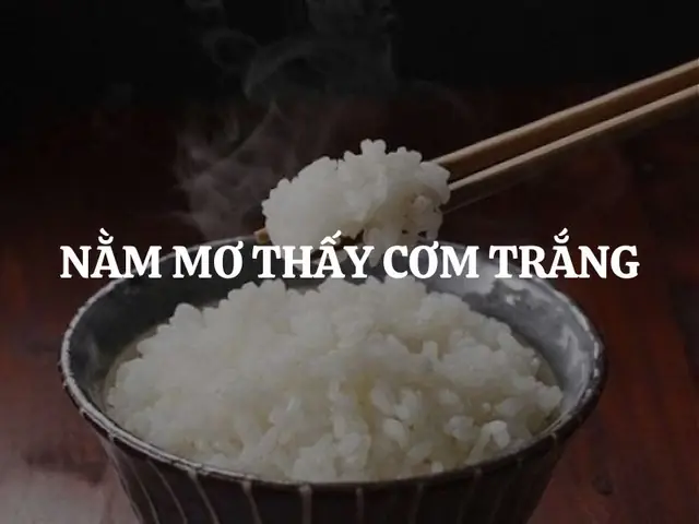 Nằm Mơ Thấy Cơm Trắng Là Điềm Gì? Luận Giải Ý Nghĩa Tâm Linh