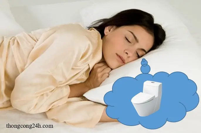 Mơ Thấy Bồn Cầu Nhà Vệ Sinh, Giải Mã Điềm Báo Chiêm Bao Mơ Thấy Bồn Cầu Nhà Vệ Sinh, Giải Mã Điềm Báo Chiêm Bao