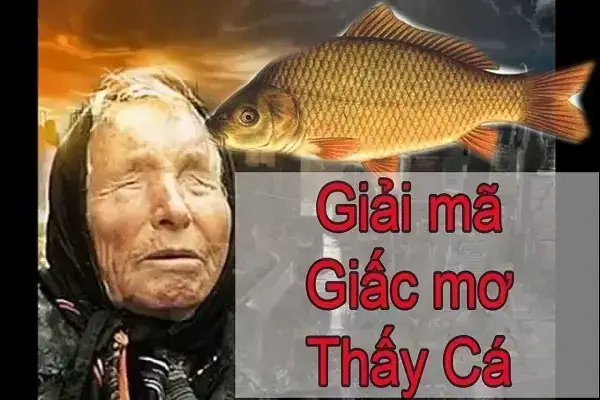 Nằm Mơ Thấy Bắt Được Nhiều Cá Nên Đánh Đề Con Gì Số Bao Nhiêu