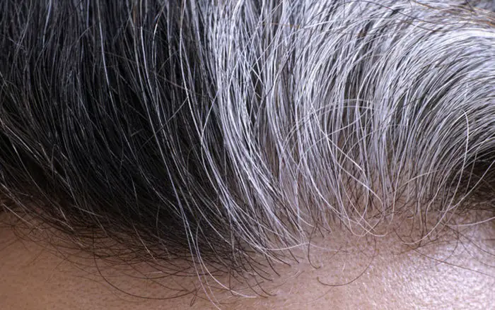 Mơ Thấy Tóc Bạc, Nhổ Tóc Bạc Đánh Con Gì? Giải Mã Giấc Mơ Trong ...