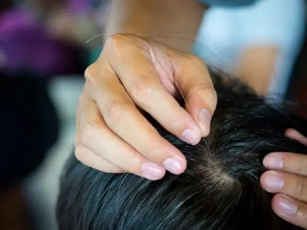 Nằm Mơ Thấy Nhổ Tóc Bạc: Giải Mã Điềm Báo Và Ý Nghĩa Sâu Sắc