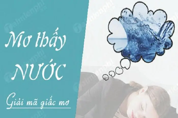 Ngủ Mơ Thấy Nước Báo Hiệu Điều Gì? - Báo Tri Thức & Cuộc Sống