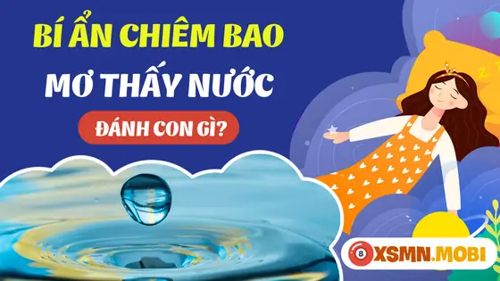 Một Số Giấc Mơ Thấy Nước Khác