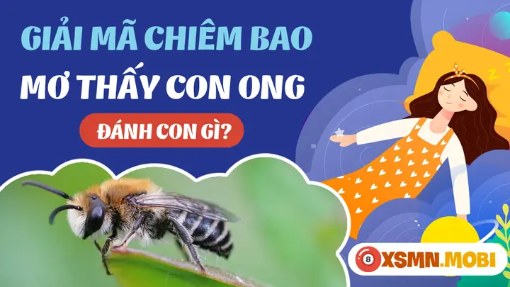 Mơ Thấy Ong Đánh Con Gì? - Giải Mã Chiêm Bao Thấy Con Ong