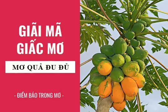Giải Mã Giấc Mơ: Nằm Mơ Thấy Quả Đu Đủ Điềm Báo Gì, Lành Hay Dữ ...