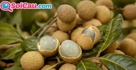 Mơ Thấy Được Cho Quả Nhãn