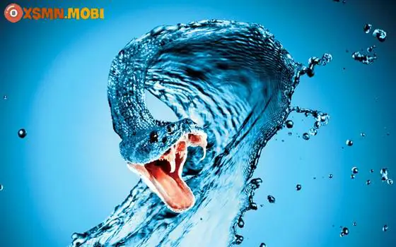 - Nằm Mơ Thấy Rắn Đen Cắn
