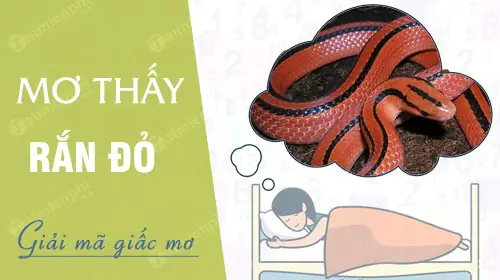 Nằm Mơ Thấy Rắn Đỏ