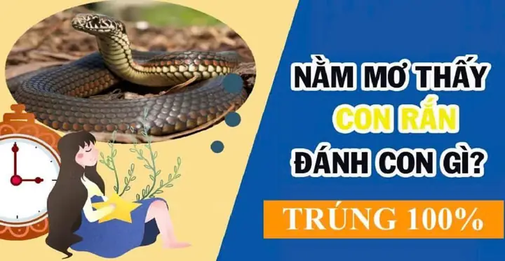Giải Mã Việc Nằm Mơ Thấy Rắn.nằm Mơ Thấy Rắn Đánh Số Gì?