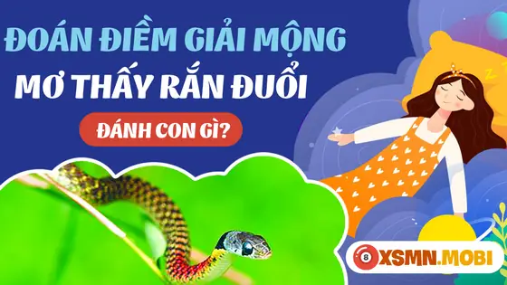 Điềm Báo Tâm Linh Một Số Giấc Chiêm Bao Thấy Rắn Đuổi Khác