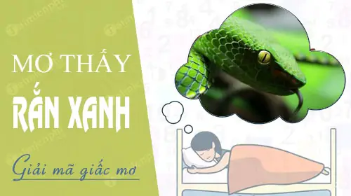 Mơ Thấy Rắn Xanh Lục Đánh Con Gì?