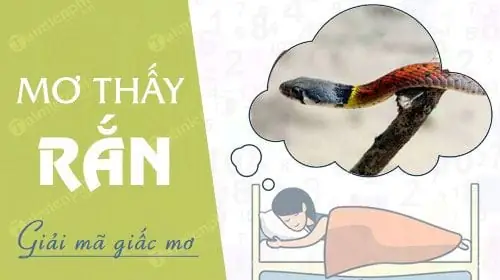 Biểu Tượng Của Rắn Trong Văn Hóa Và Tâm Linh Việt Nam