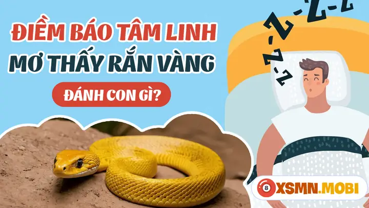 Mơ Thấy Rắn Vàng Là Điềm May Mắn Hay Đen Đủi?