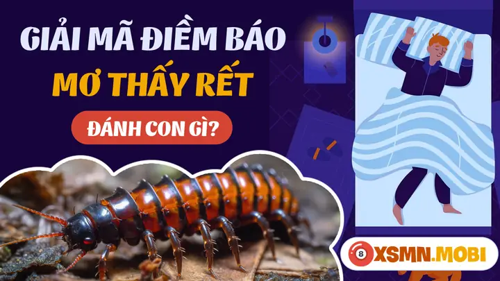 Mơ Thấy Rết Đánh Số Gì - Chiêm Bao Thấy Con Rết Hên Hay Xui?