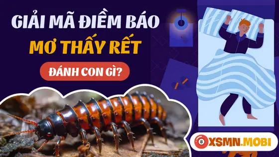 Điềm Báo Tâm Linh Một Số Giấc Mơ Thấy Rết Khác