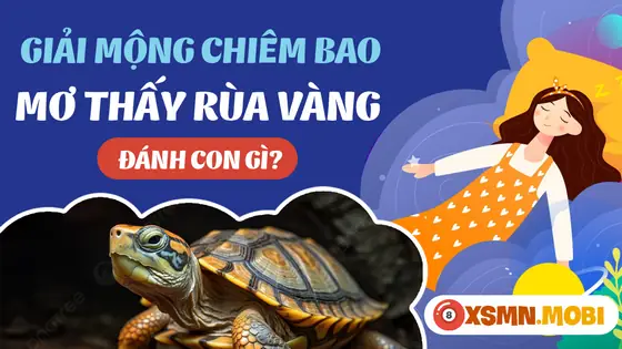 - Mơ Thấy Rùa Vàng 2 Đầu