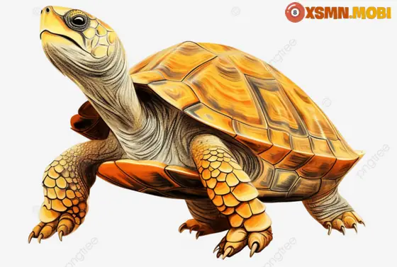 - Mơ Thấy Rùa Vàng Bò Vào Nhà