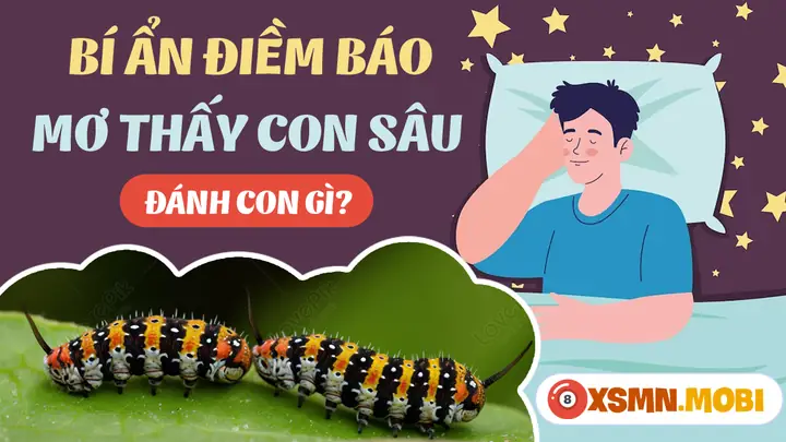 Mơ Thấy Sâu Đánh Con Gì? - Giải Mã Chiêm Bao Thấy Con Sâu